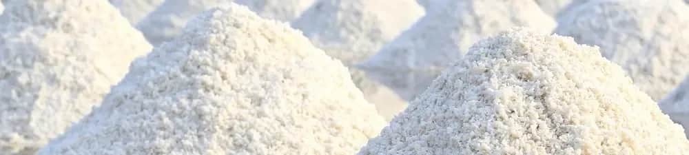 Explore Our Catalogue